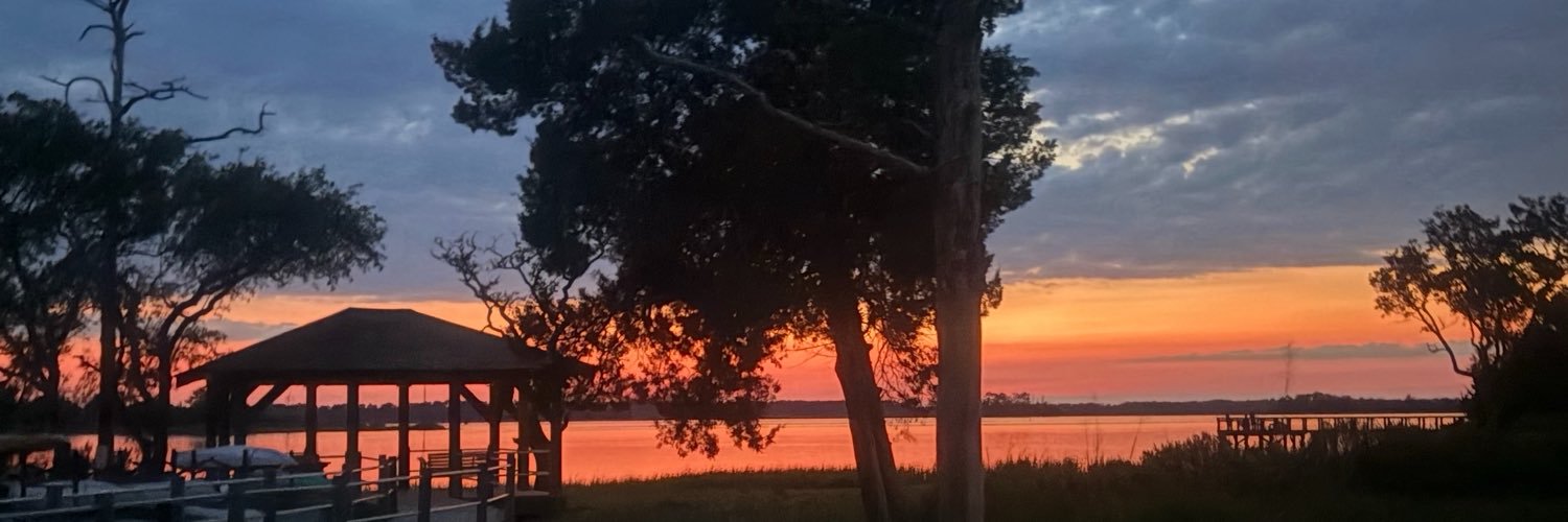 healthywithlori's profile banner image