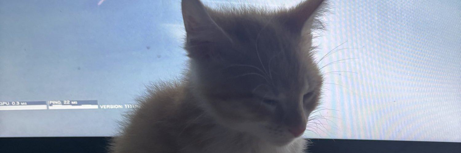 LookStick's profile banner image
