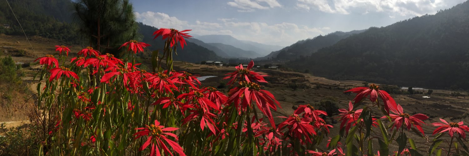 Niladri Haldar banner