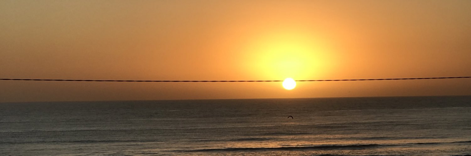 roxanammedina's profile banner image