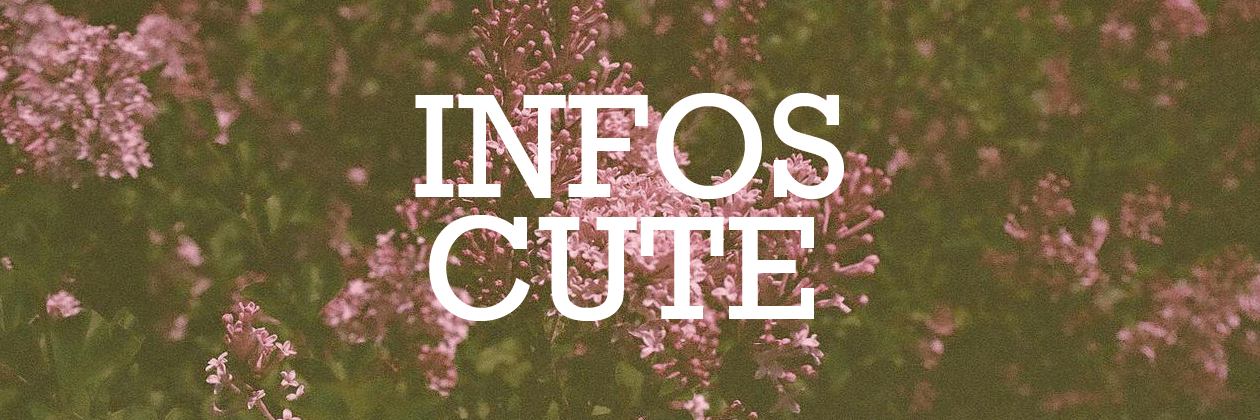 Infos Cute banner