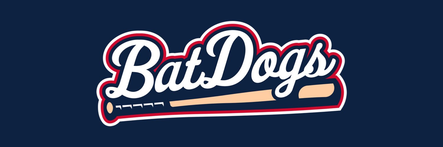 Ballpark BatDogs 16u banner