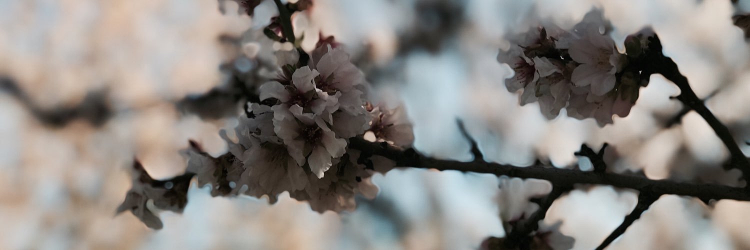 meeryred's profile banner image