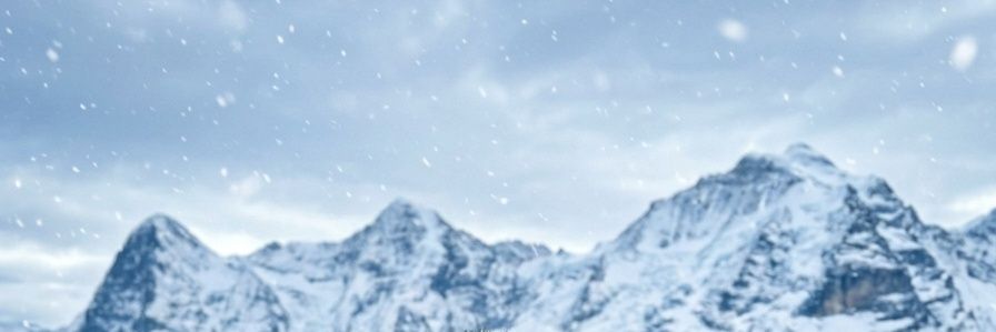 Three Muskeeteer banner