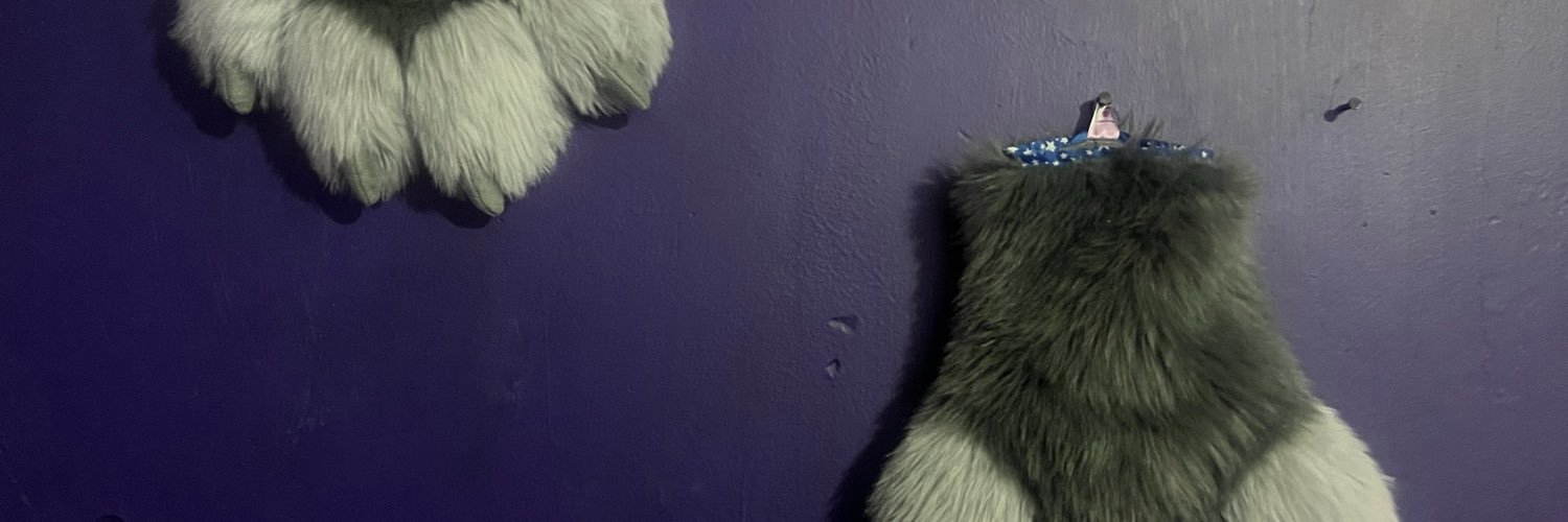 FurroWedgie's profile banner image