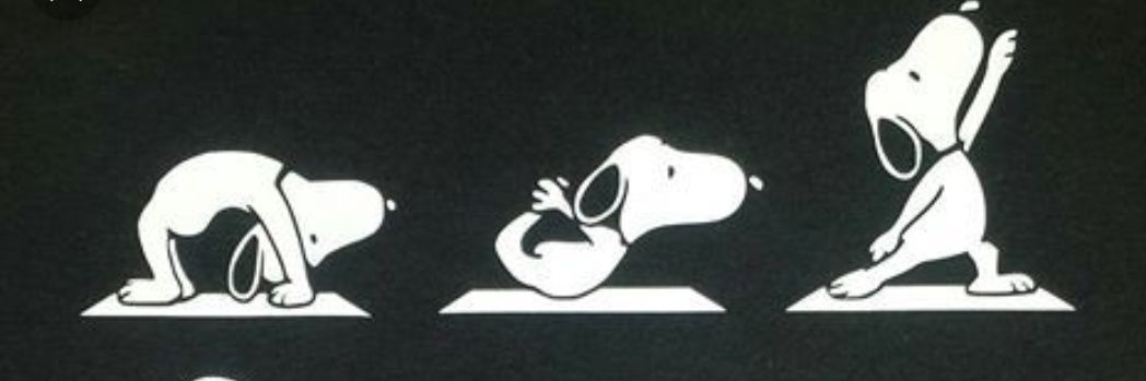 Neeta Kumar-Britten banner