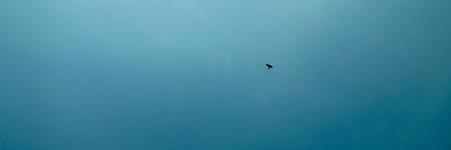 Orunor_'s profile banner image
