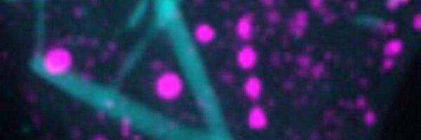 CSMB_SCBM Profile Banner