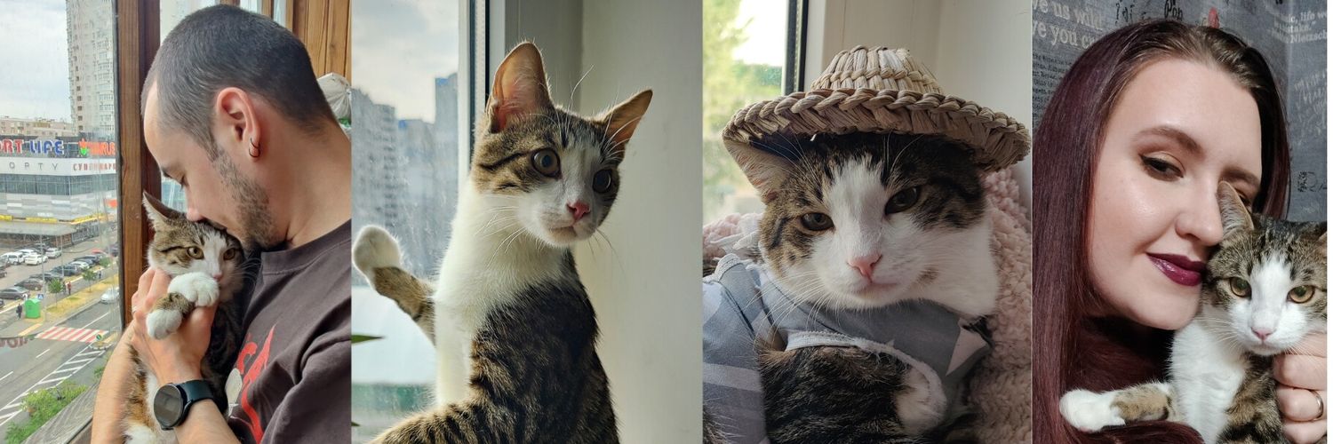 Tory Jam 🇺🇦🕊️ banner