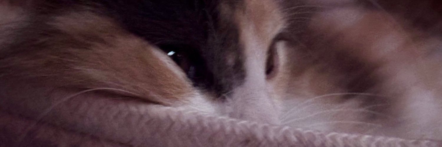 Elme en privé banner