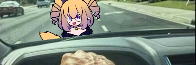 EnterstellaVT's profile banner image