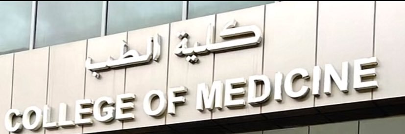 Gap year | رِحلةً تأبى اليأس banner