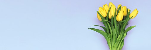 marasofam23's profile banner image