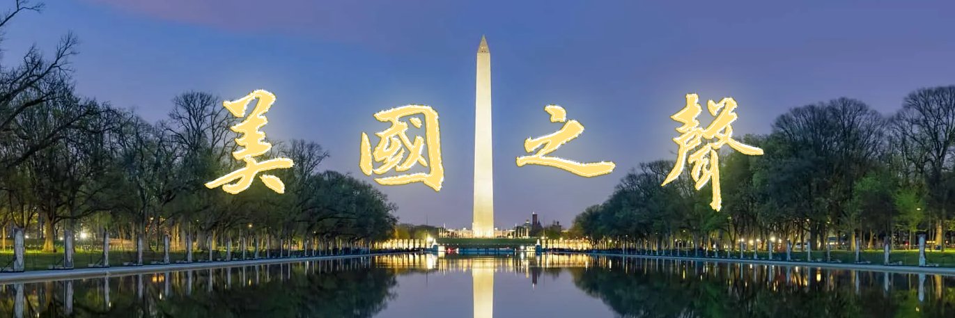 美国之声 banner