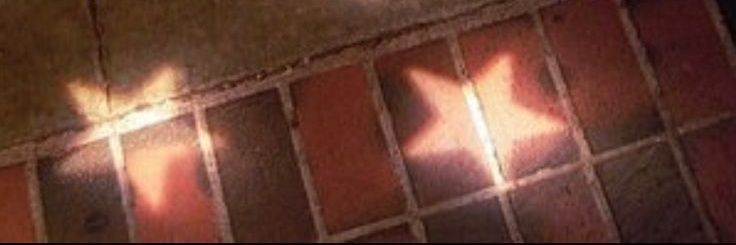 𝙏𝙄𝙁𝘼 .ᐟ banner