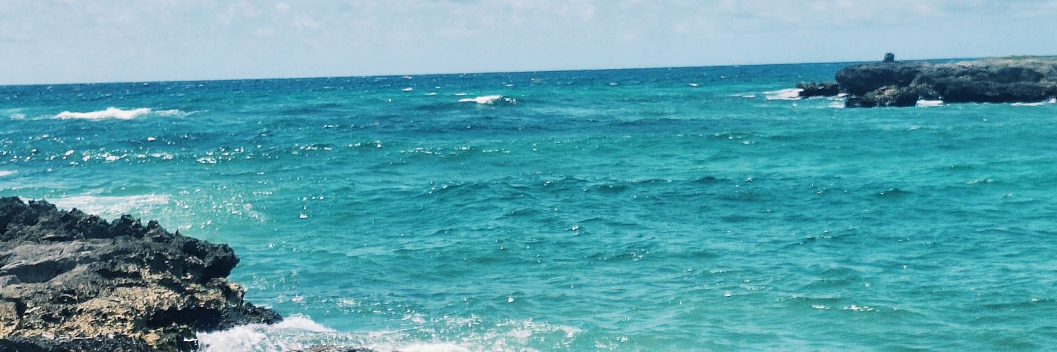 jadeexrs's profile banner image