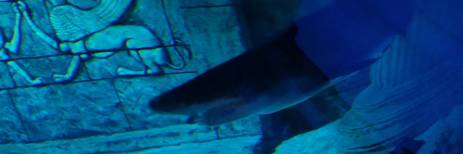 xLock272276's profile banner image