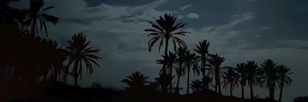 raiii7i7's profile banner image