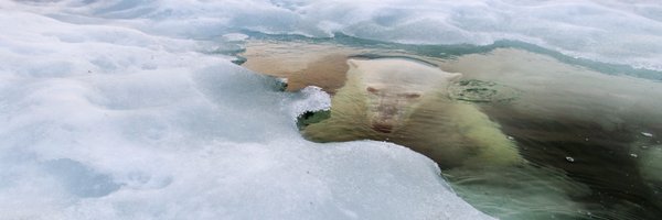 JimSantana Profile Banner