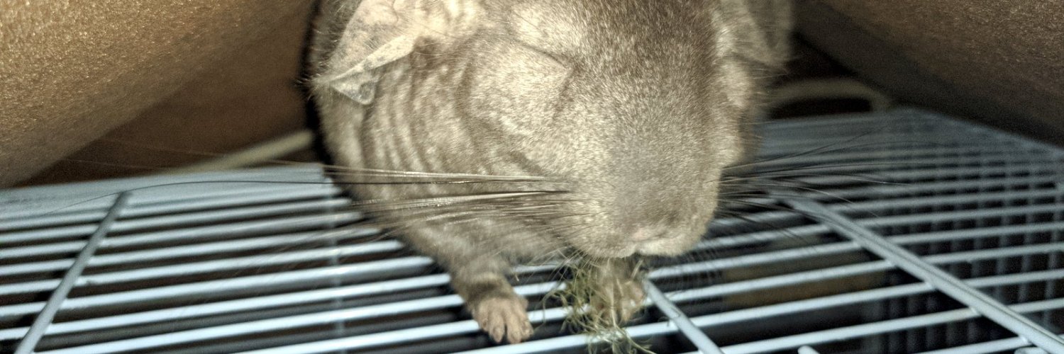 ふさふさふわふわ banner