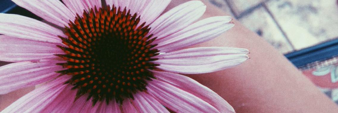 1732_maria's profile banner image