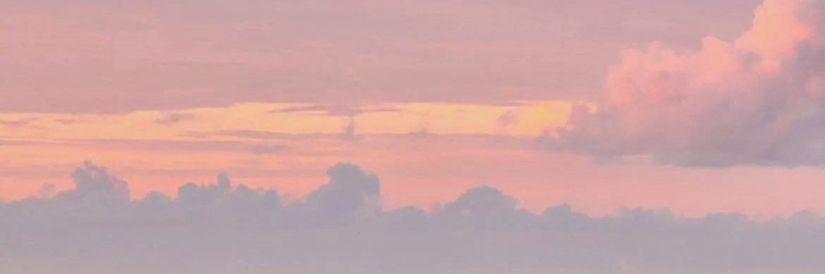 allyoconnor_'s profile banner image