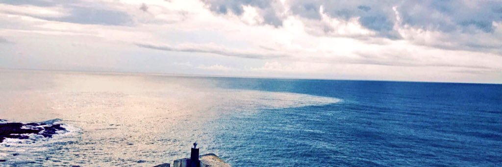 fiififorever's profile banner image