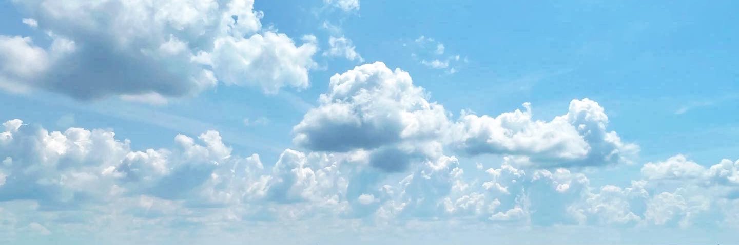 Lauren Del Toro banner