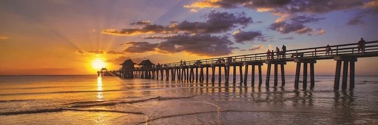 Ed Cleary 🇺🇸 🌴 banner