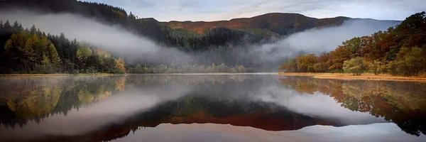 ForresDee Profile Banner