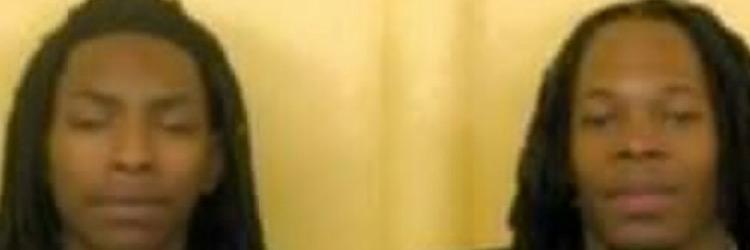 VineyardDamm's profile banner image