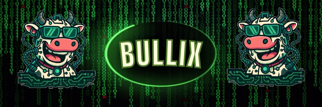 bullixtech's profile banner image