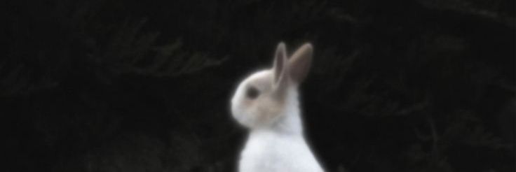 eman48236's profile banner image