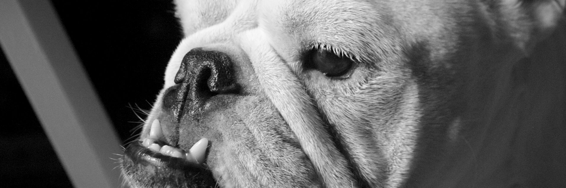 LockeFrazier's profile banner image