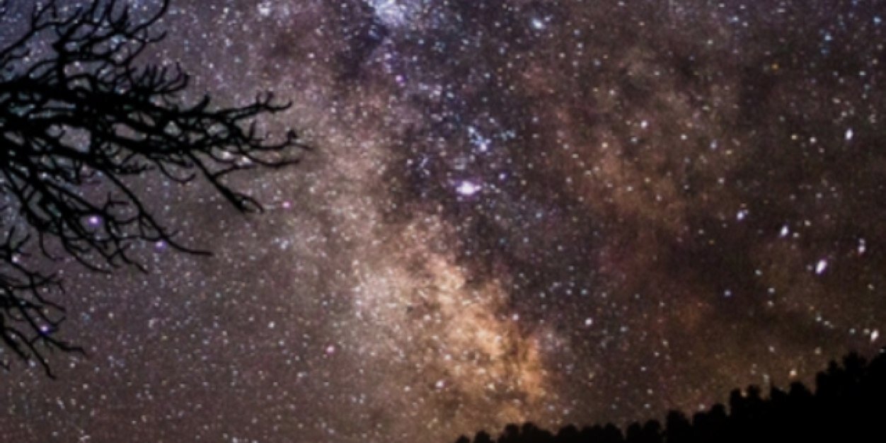 maryanne_mn's profile banner image
