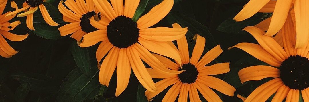 Orii06's profile banner image