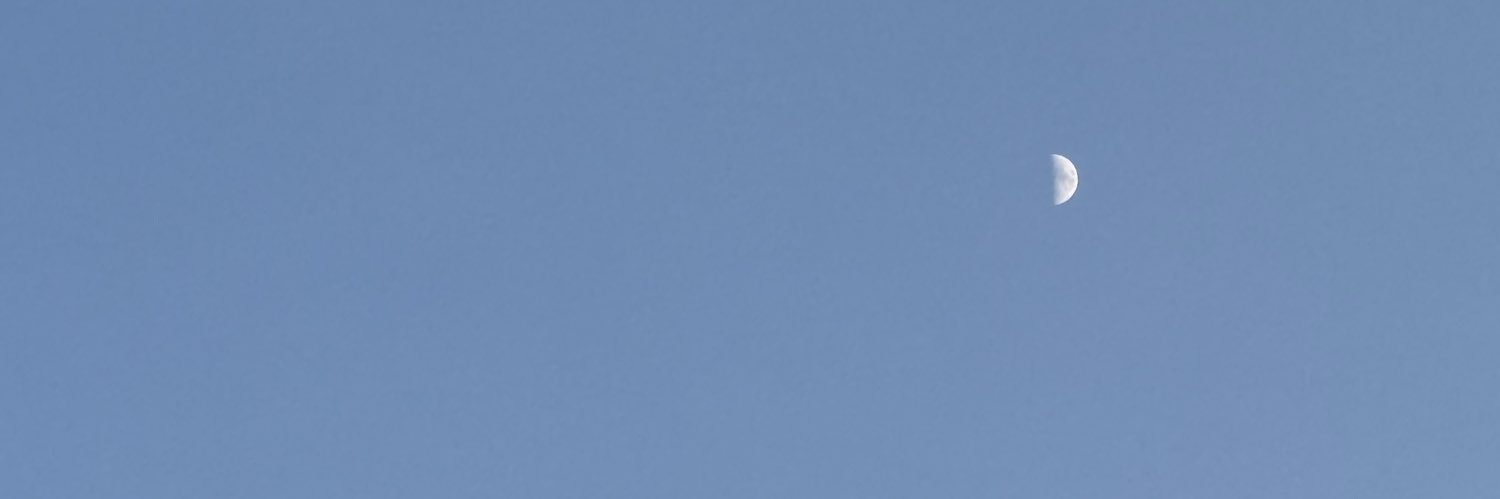 東雲こあ🦋caprice banner