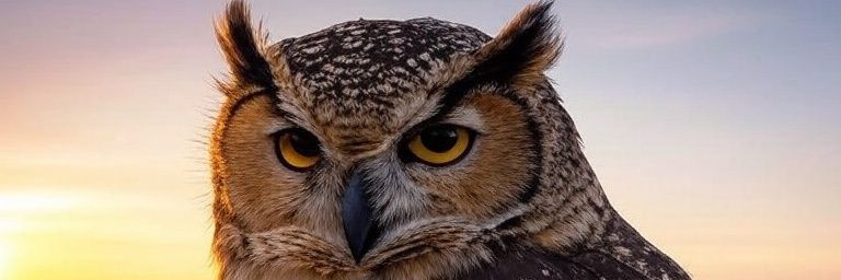 Unnderworld's profile banner image