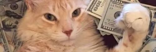 CsaterWalton's profile banner image