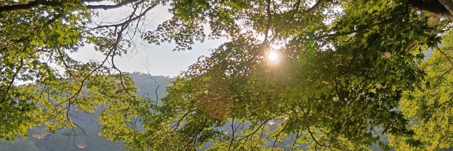Tadasomerset🇬🇧🇯🇵 banner