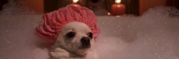 หม่อมแม่ banner