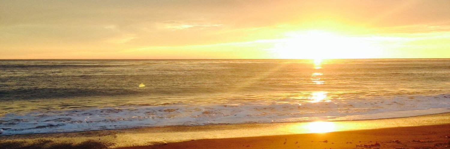 TuckTRex's profile banner image