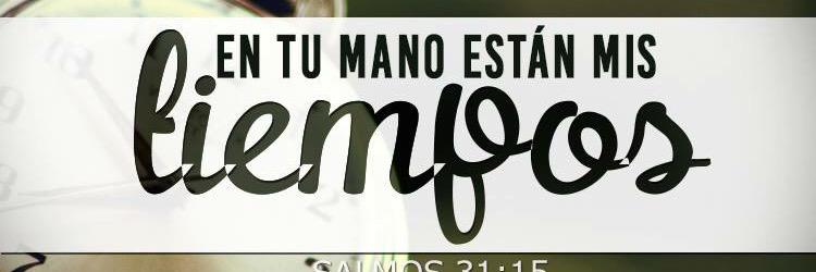 basssonoro's profile banner image