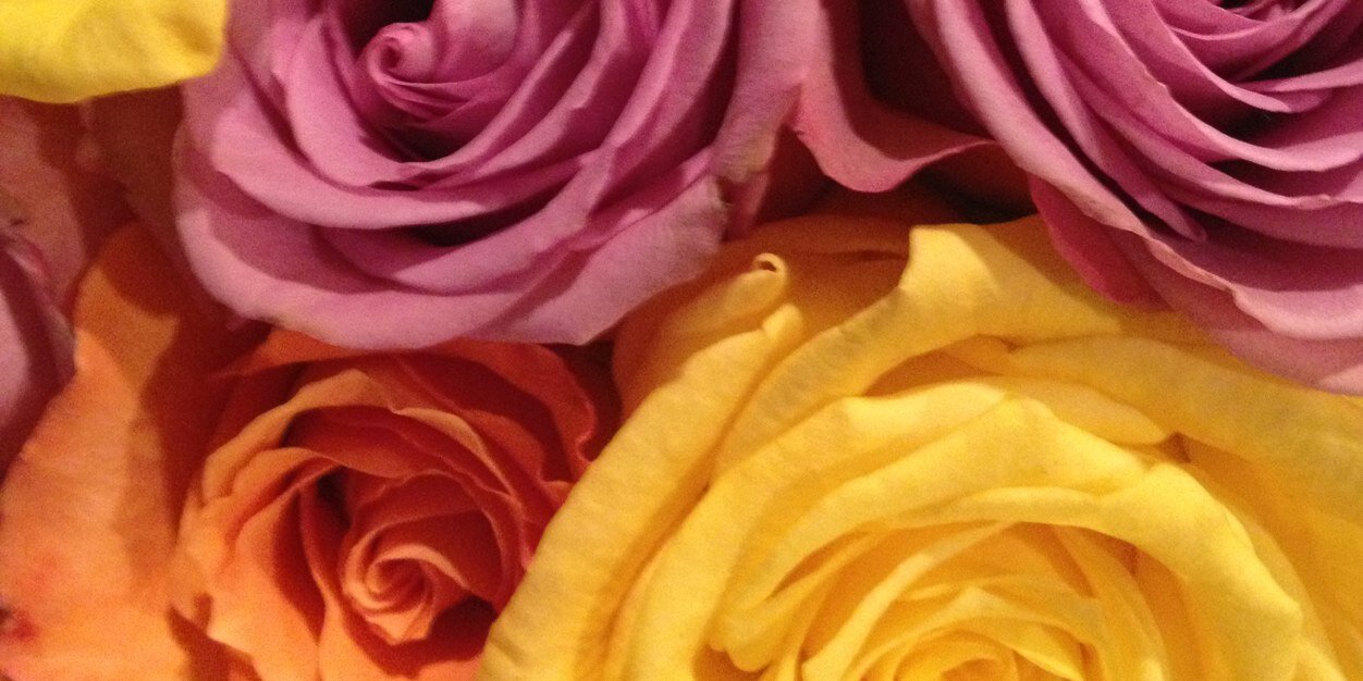 Kdappattack's profile banner image