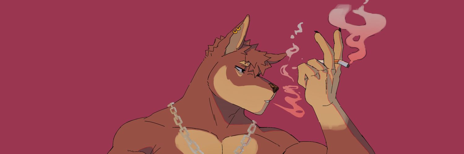 Sylaxyy banner