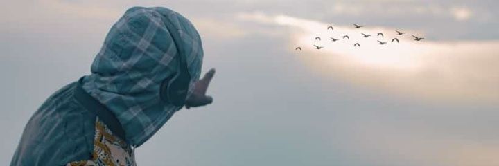 Perseus1759's profile banner image
