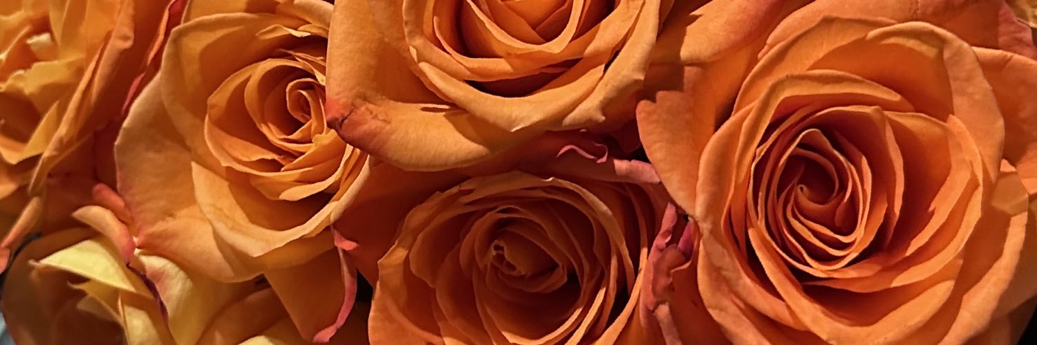 justbreee's profile banner image