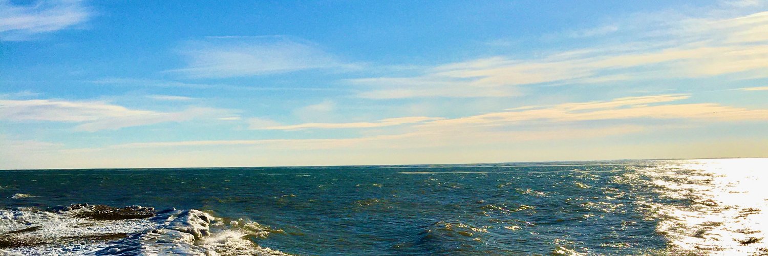 cindy loop snyder banner