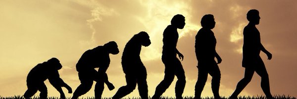 koyoiren_xnote Profile Banner