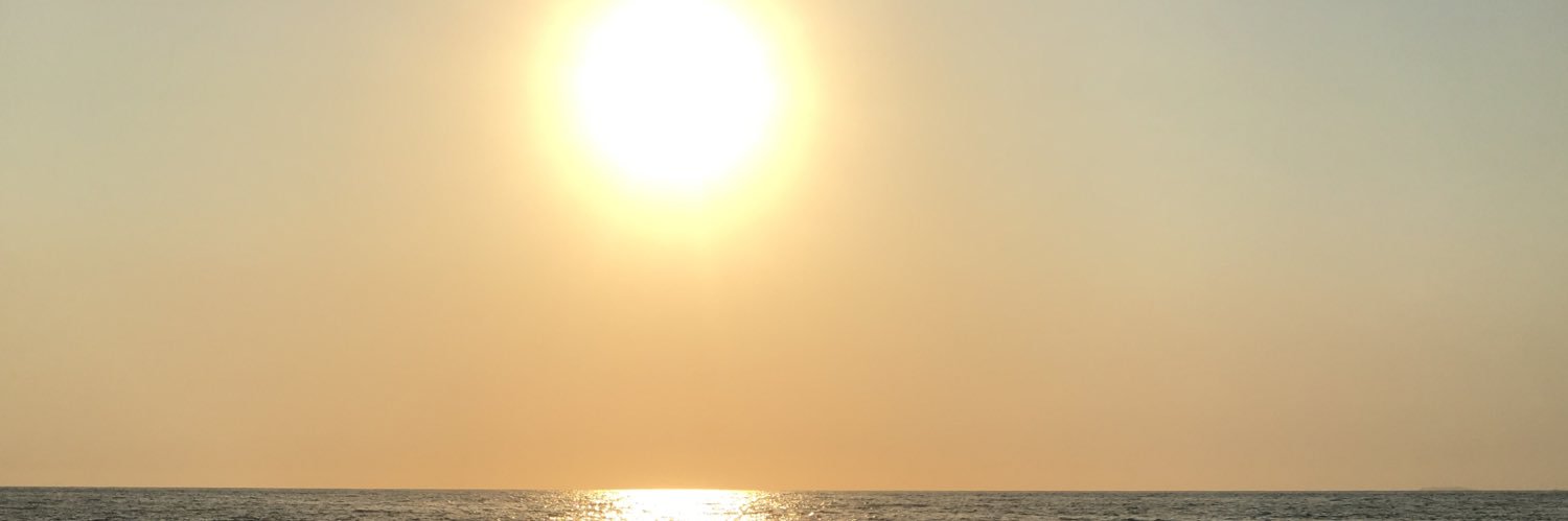 MorgieInParis's profile banner image